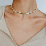 Gold & Silver Two-Tone Snake Chain Long Necklace