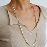 Gold & Silver Two-Tone Snake Chain Long Necklace