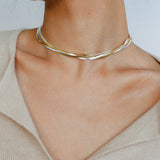 Gold & Silver Two-Tone Snake Chain Long Necklace