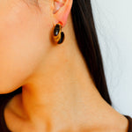 Crescent Moon Shaped Black Agate & Tiger's Eye Earrings - floysun