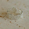 Lace Pattern Diamond Open Ring - floysun