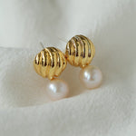 Metal Shell Pearl Drop Earrings - floysun