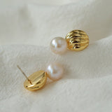 Metal Shell Pearl Drop Earrings - floysun