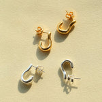 New Heart Series Heart - Shaped Swan Curve Earrings - floysun