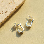 New Heart Series Heart - Shaped Swan Curve Earrings - floysun