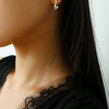 New Heart Series Heart - Shaped Swan Curve Earrings - floysun