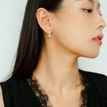 New Heart Series Heart - Shaped Swan Curve Earrings - floysun