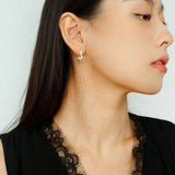 New Heart Series Heart - Shaped Swan Curve Earrings - floysun