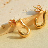 New Heart Series Heart - Shaped Swan Curve Earrings - floysun