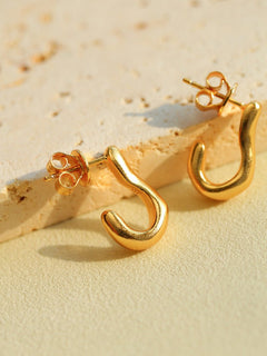 New Heart Series Heart - Shaped Swan Curve Earrings - floysun