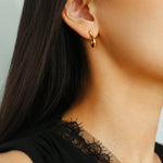 New Heart Series Heart - Shaped Swan Curve Earrings - floysun