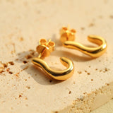 New Heart Series Heart - Shaped Swan Curve Earrings - floysun