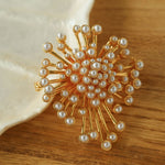 Retro Fashion Pearl Fireworks Brooches - floysun